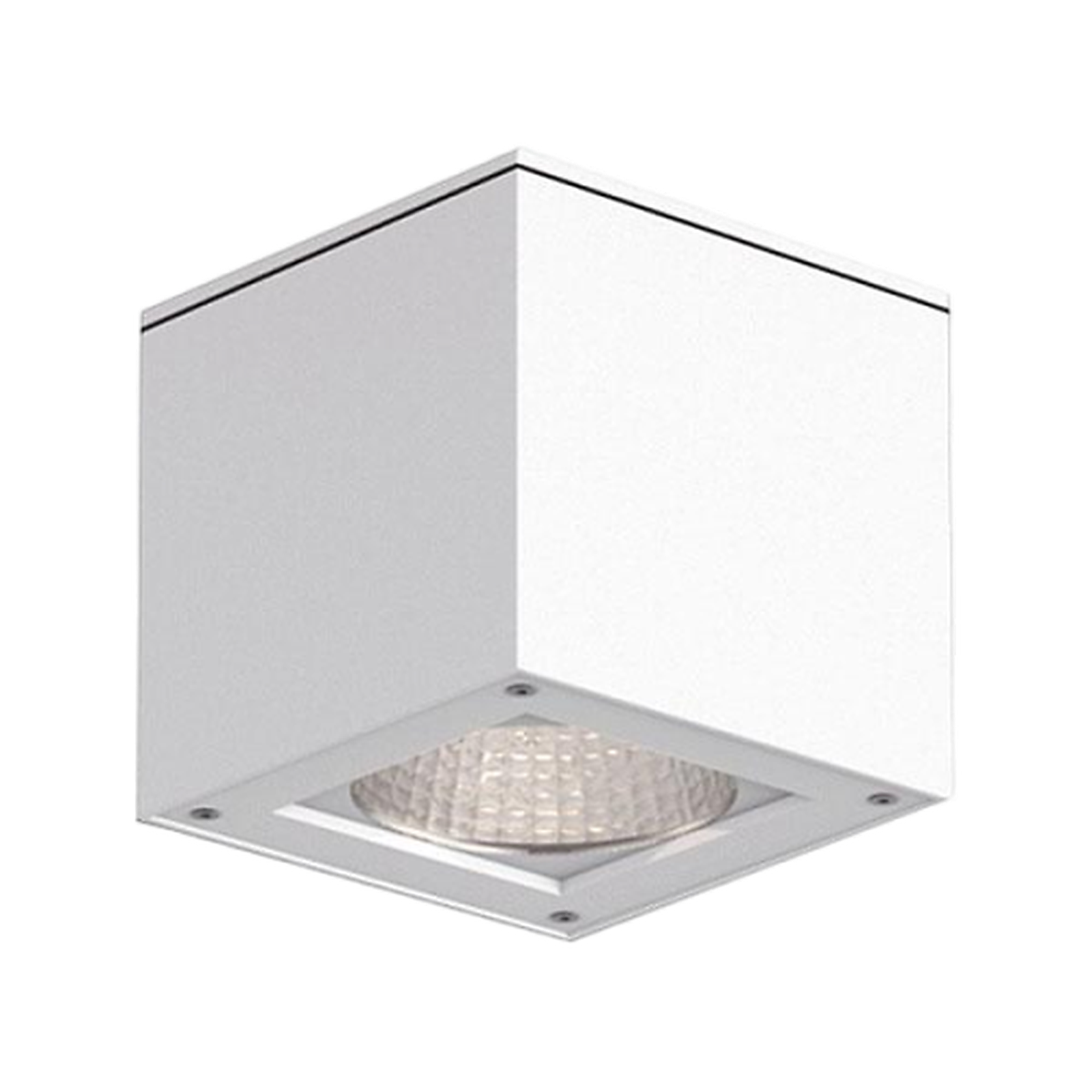 Luna Luce Italia LL-1017-S Ceiling Light