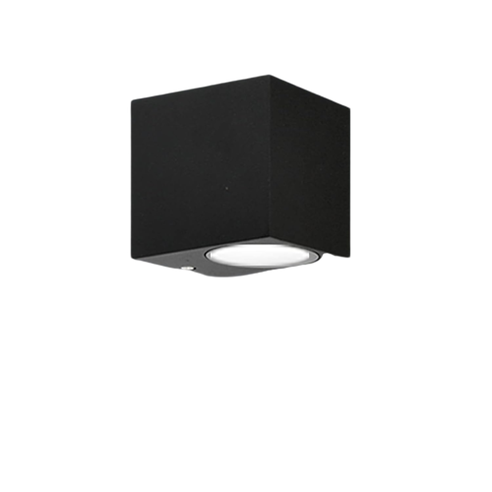 LL-4584-1 alternate view