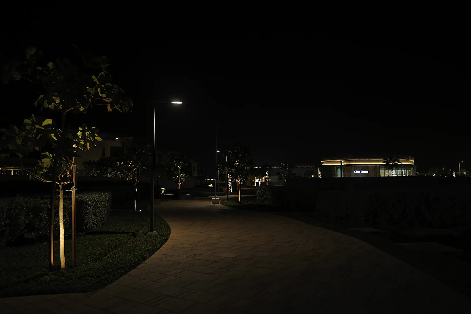 A curved walkway approaching the clubhouse at Dubai South, with a tree uplit from the ground and the lit clubhouse fascia in the distance