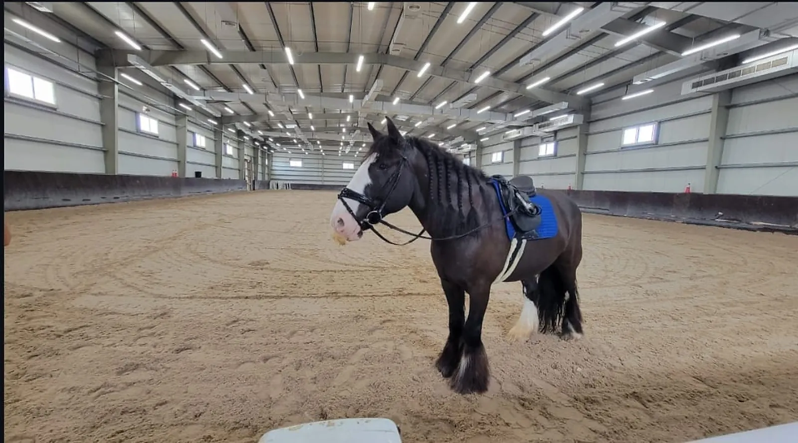 The indoor arena at Mandara Equestrian Club, lit by high-level linear fittings between the roof trusses