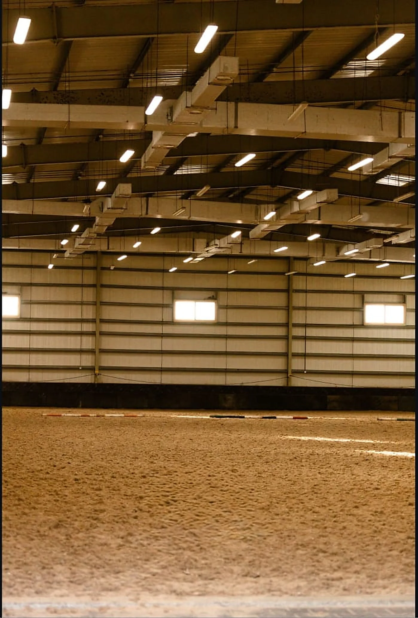 A horse standing in the indoor arena at Mandara Equestrian Club under high-level linear lighting