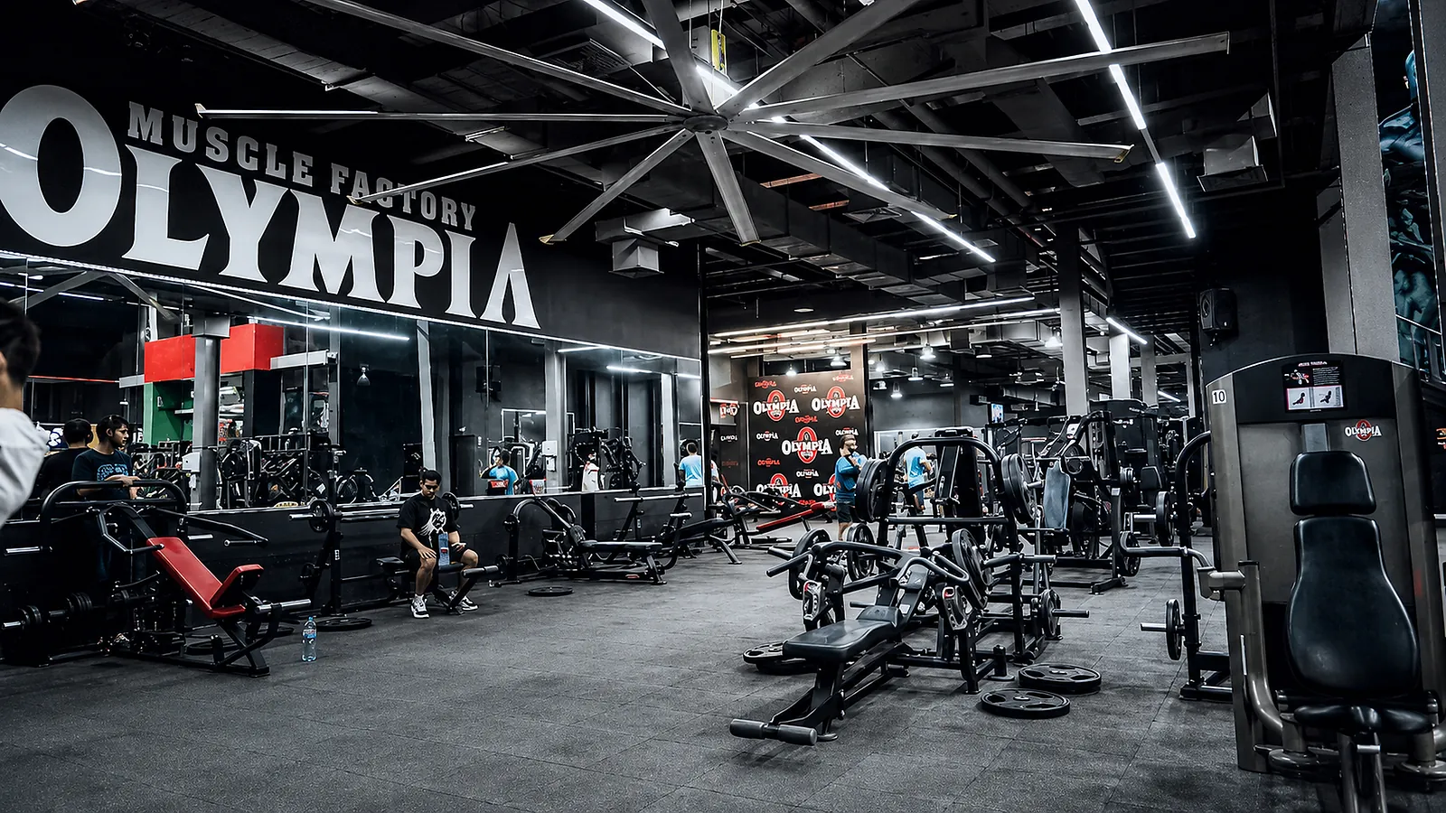 The strength training floor at Olympia Gym, lit by continuous linear runs on an exposed black ceiling