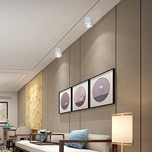 Luna Luce Italia LL-1014 Surface-Mounted LED Spotlight with Corona Effect