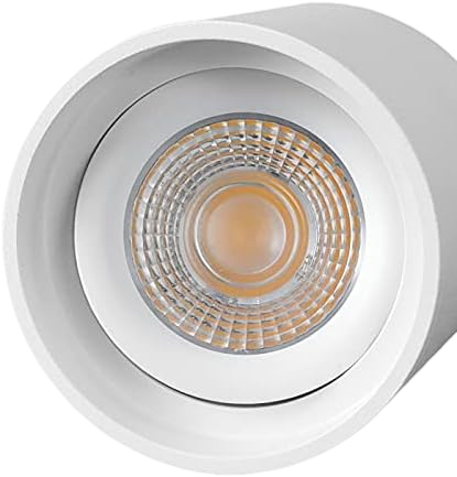 Luna Luce Italia LL-1014 Surface-Mounted LED Spotlight with Corona Effect
