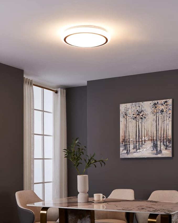 Luna Luce Italia LL-3372 Decorative Ceiling Light with Emergency Kit Option